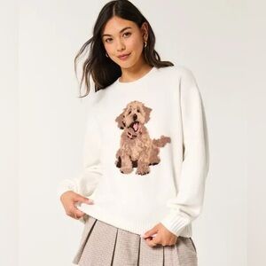 Hollister Cozy Dog Sweater